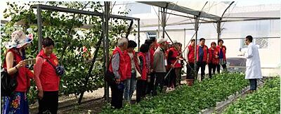 蔬菜種子，幾百萬(wàn)種植戶(hù)的選擇