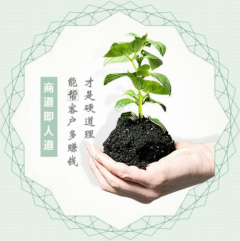 蔬菜種子經(jīng)營(yíng)，商道即人道