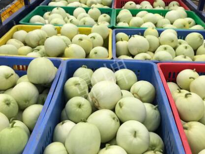 蔬菜種子種植戶客戶點評-5元1斤，這個新品種真香甜！