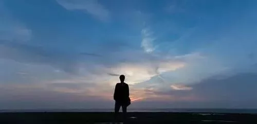 雇工難、成本高，想種甜瓜怎么辦？