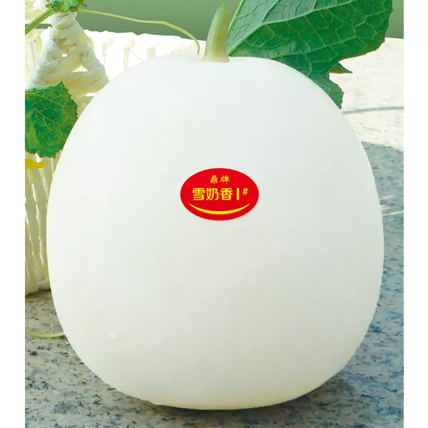 薄皮甜瓜，哪個(gè)品種最好呢？畝產(chǎn)高達(dá)10萬(wàn)，附4種市場(chǎng)爆款品種