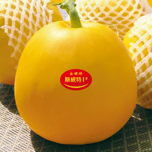 薄皮甜瓜，哪個(gè)品種最好呢？畝產(chǎn)高達(dá)10萬(wàn)，附4種市場(chǎng)爆款品種