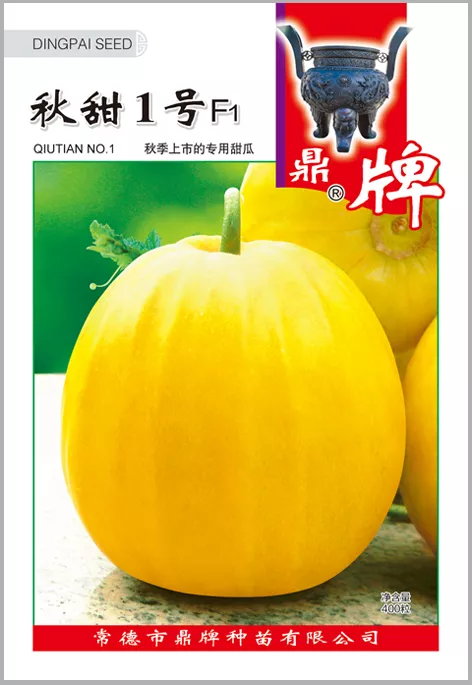 高溫季節(jié)種植甜瓜，什么品種最好？這個品種是秋季上市的專用品種