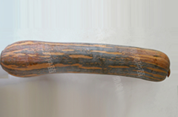 知道最甜最面的南瓜品種嗎？盤點十種有營養(yǎng)的甜面南瓜...