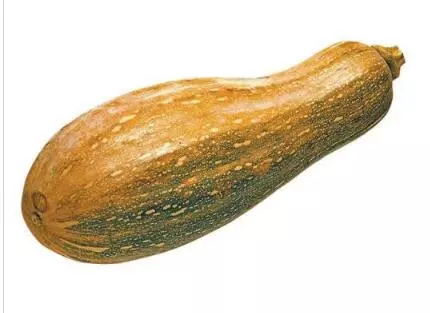 知道最甜最面的南瓜品種嗎？盤點十種有營養(yǎng)的甜面南瓜...