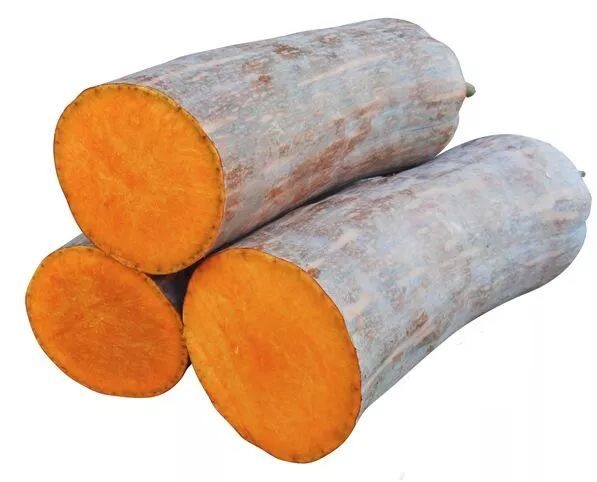 生吃都好吃南瓜新品種，沒有大肚子，肉質(zhì)更密致，農(nóng)戶試種下