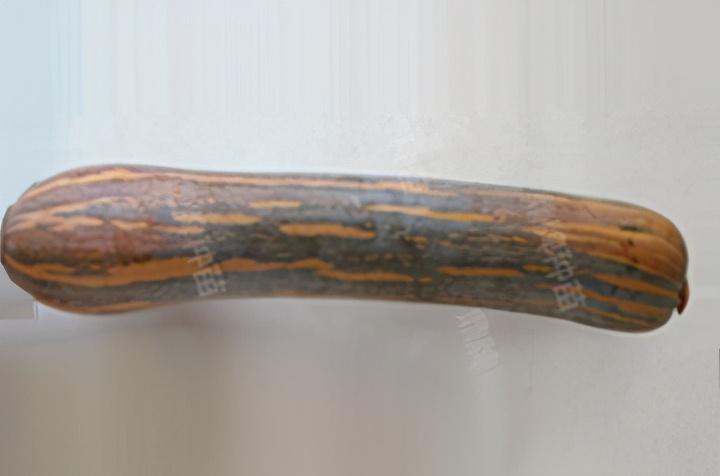 2020年，市面上的南瓜品種哪個口感最好、最甜、最值得種植？