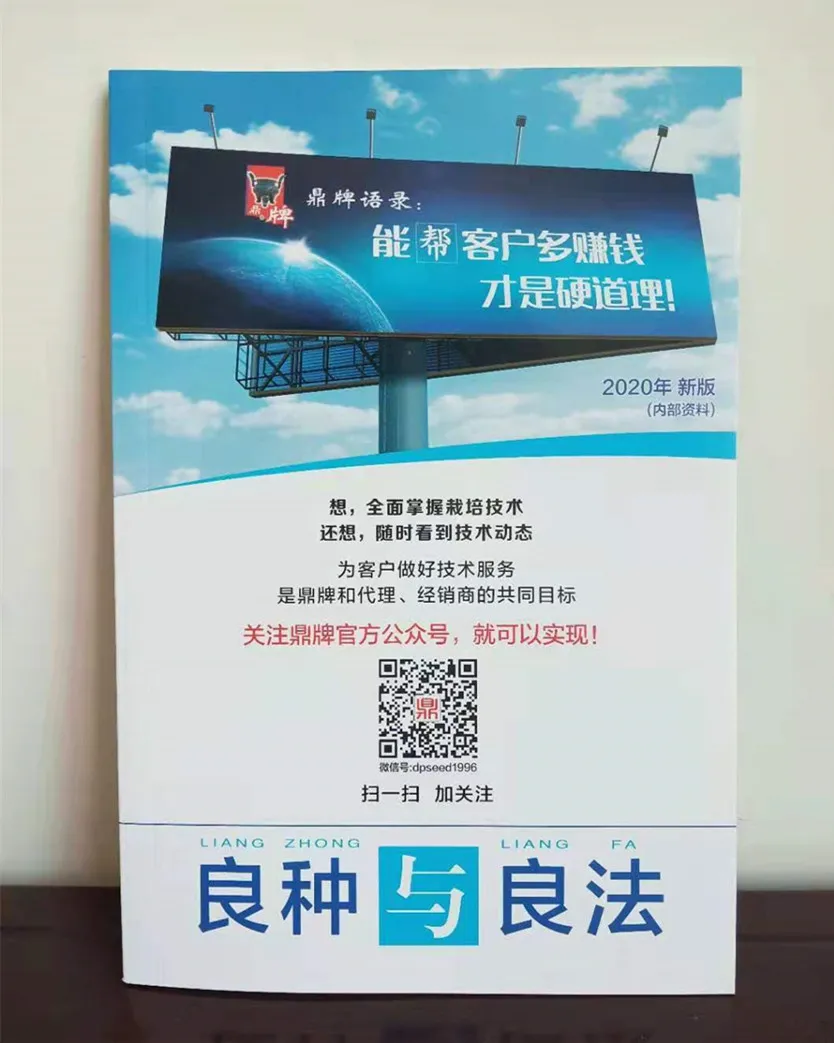 河南焦作的李向林今年種植甜瓜新品種，客戶直接拉貨走人