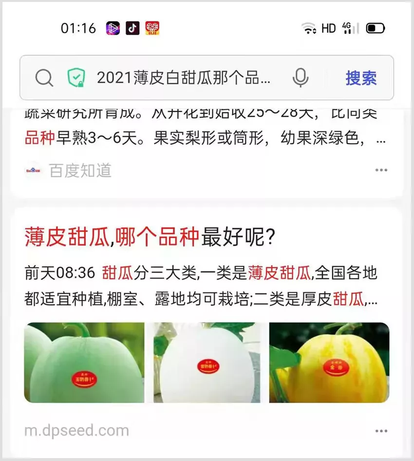 河南焦作的李向林今年種植甜瓜新品種，客戶直接拉貨走人