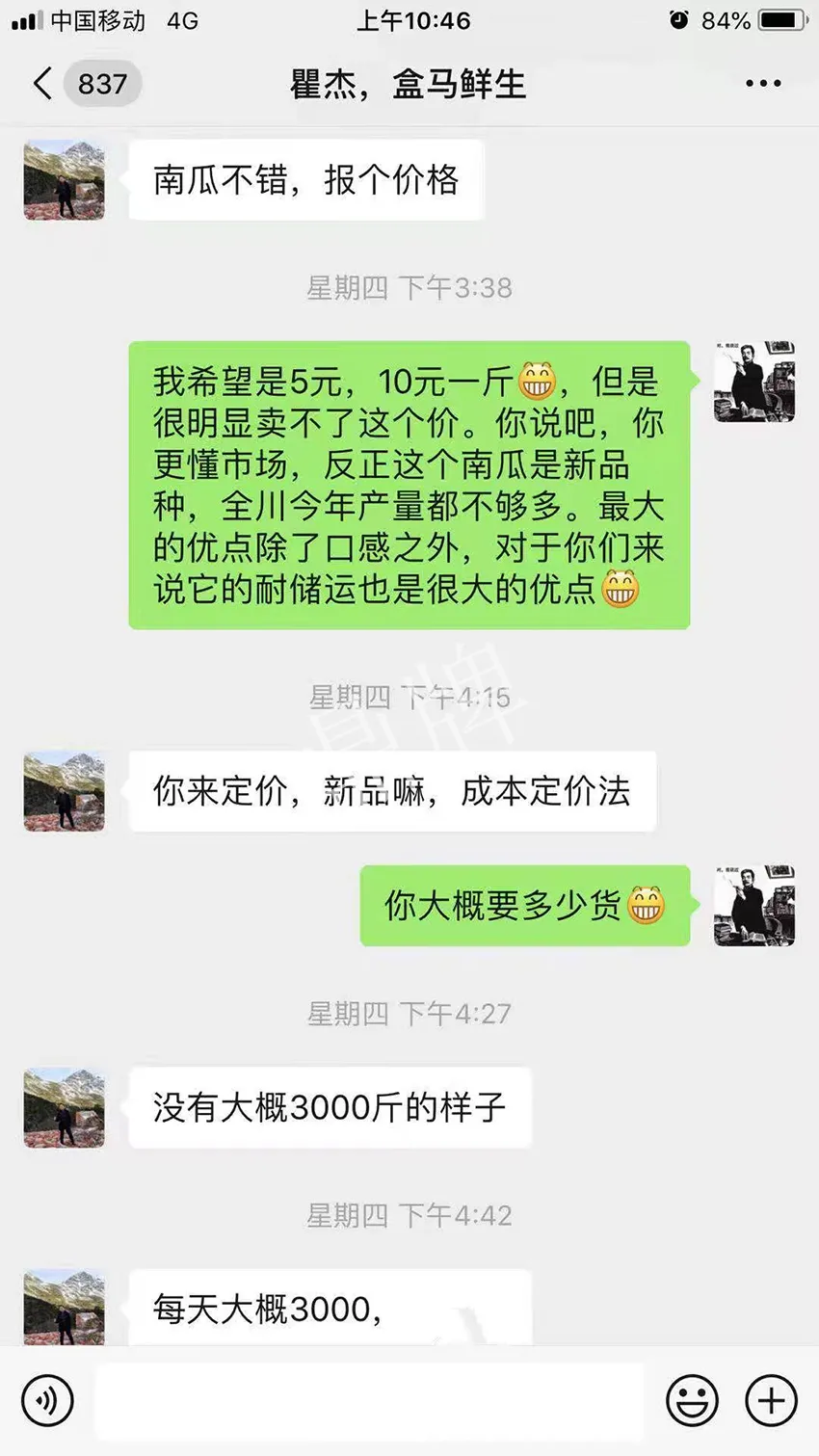 四川農(nóng)戶今年種“健美蜜本”南瓜產(chǎn)量高，品質(zhì)好，感覺巴適得很