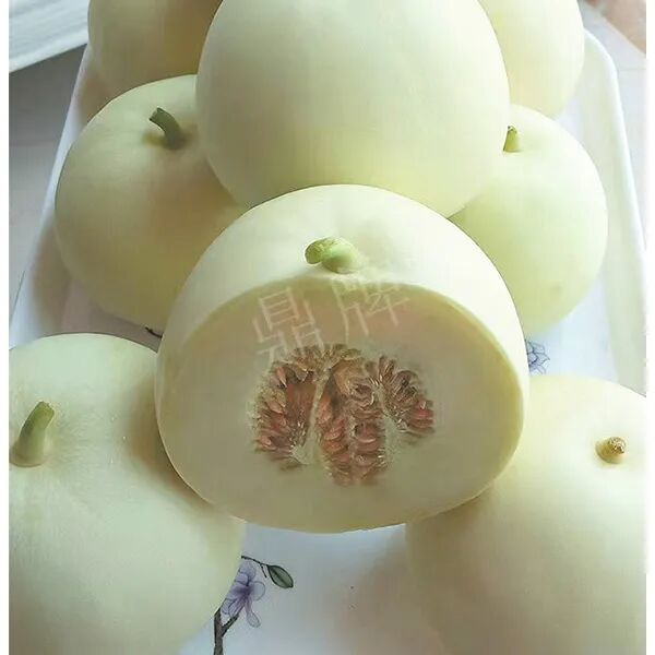 蔬菜種子種植戶客戶點(diǎn)評(píng)-這個(gè)品種幫我留一些，4月份我們當(dāng)?shù)剡€要種一批呢！