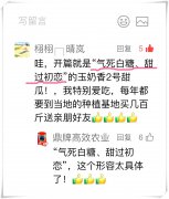 蔬菜種子種植戶客戶點(diǎn)評(píng)-“氣死白糖，甜過初戀”，您知道或體驗(yàn)過這句話嗎